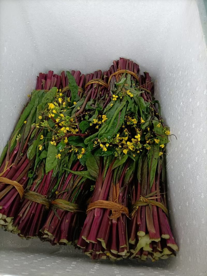 威远本地精品红油菜苔