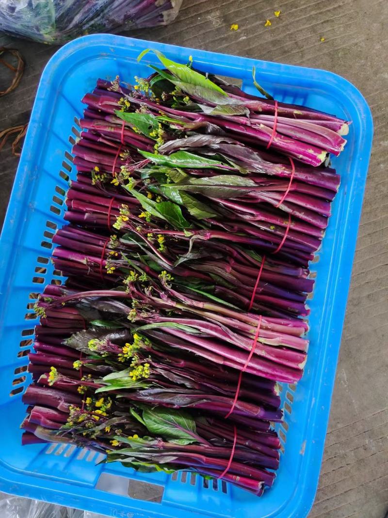 威远本地精品红油菜苔