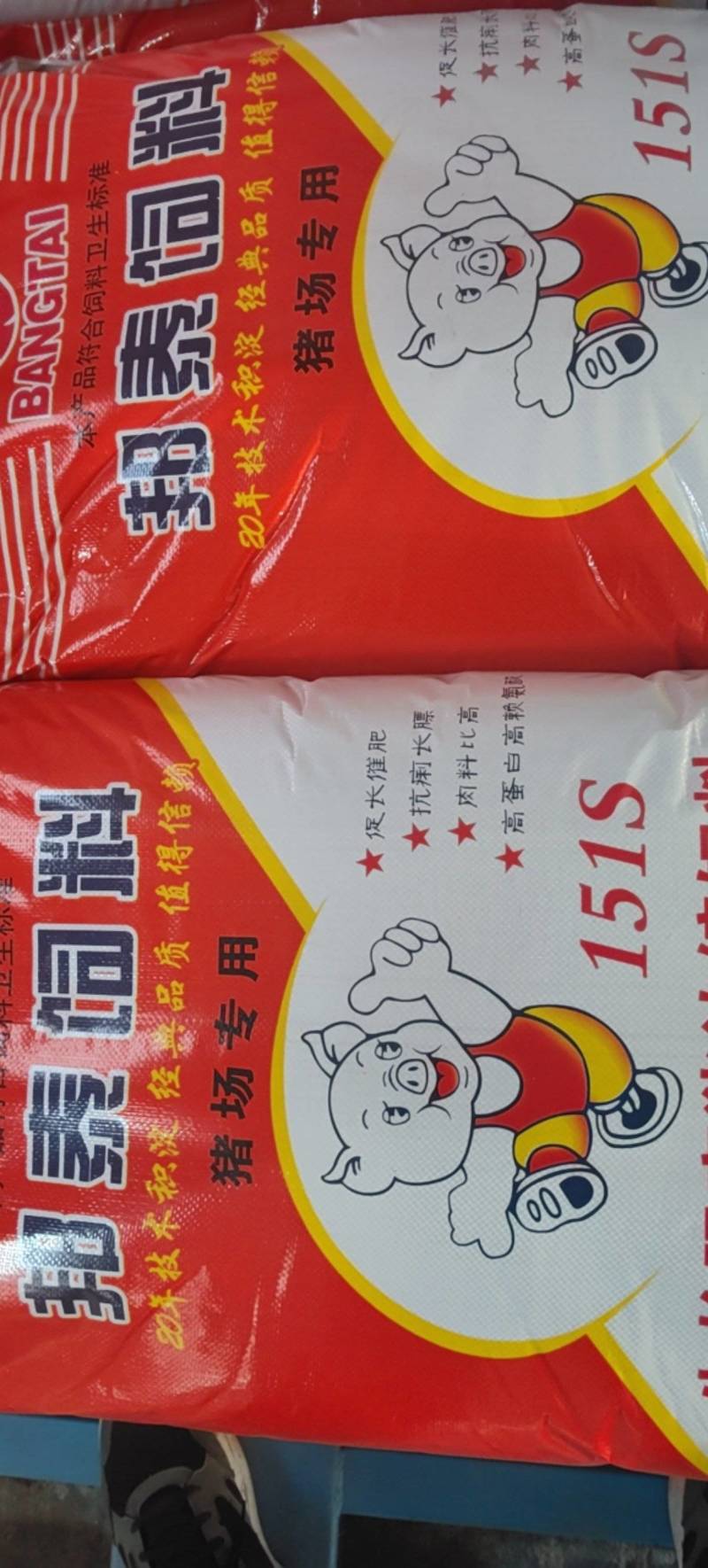 生长育肥猪浓缩饲料，生长育肥猪151S浓缩饲料