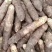 【香芋种子】产地直发包售后包成活成果软糯香甜