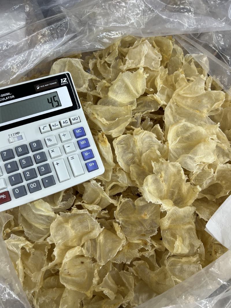 蝴蝶胶鱼胶各种头数