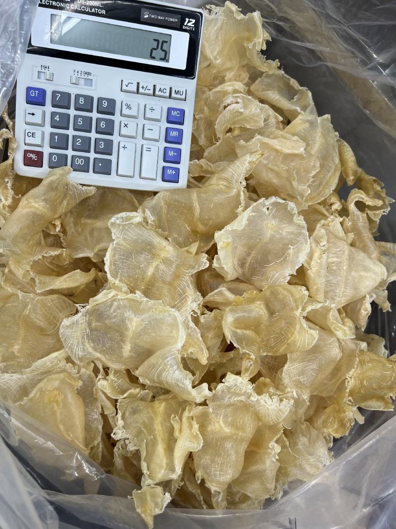 蝴蝶胶鱼胶各种头数