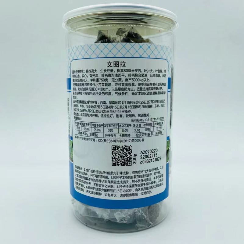 文图拉芹菜种子西芹，小香芹品种纤维少，高产品种