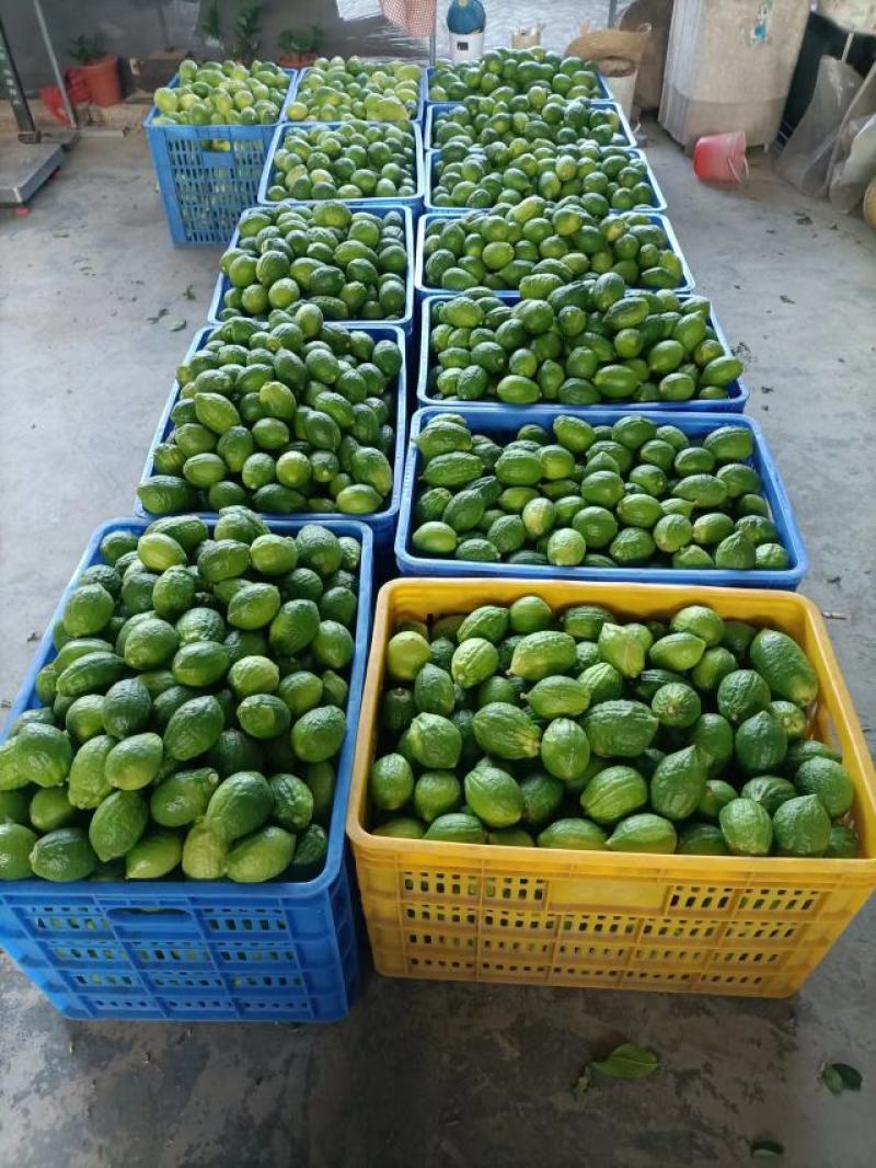 广东香水柠檬