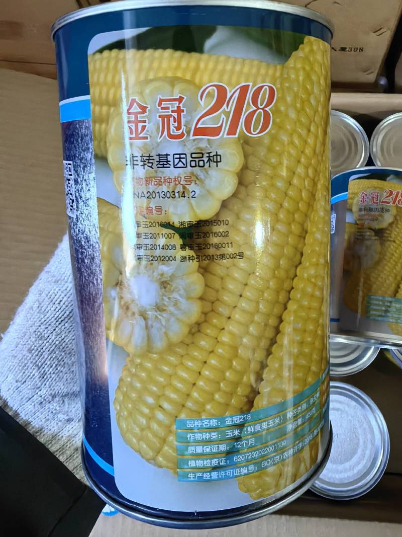 金冠218甜玉米种子北京四海大棒超甜水果玉米种籽孑黄粒大