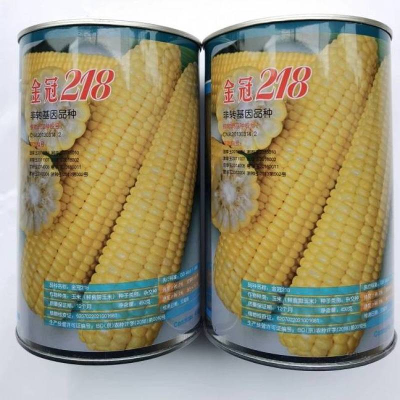 金冠218甜玉米种子北京四海大棒超甜水果玉米种籽孑黄粒大