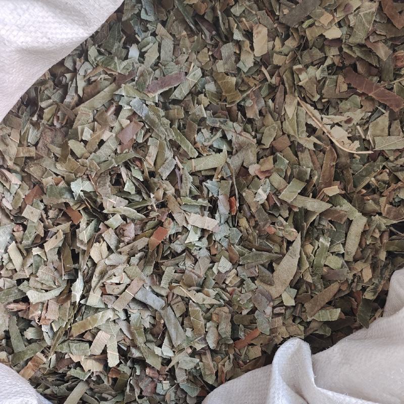 芭叶，枇杷叶，新货，一手货源，保质保量，批发各种中药材