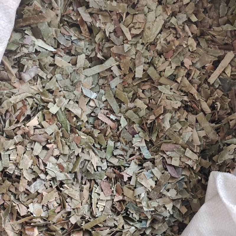 芭叶，枇杷叶，新货，一手货源，保质保量，批发各种中药材