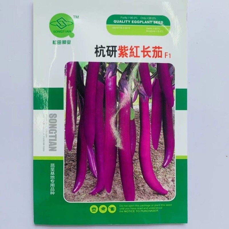 杭研紫红长茄种子高产早熟口感好超长线茄绵软四季种蔬菜种籽