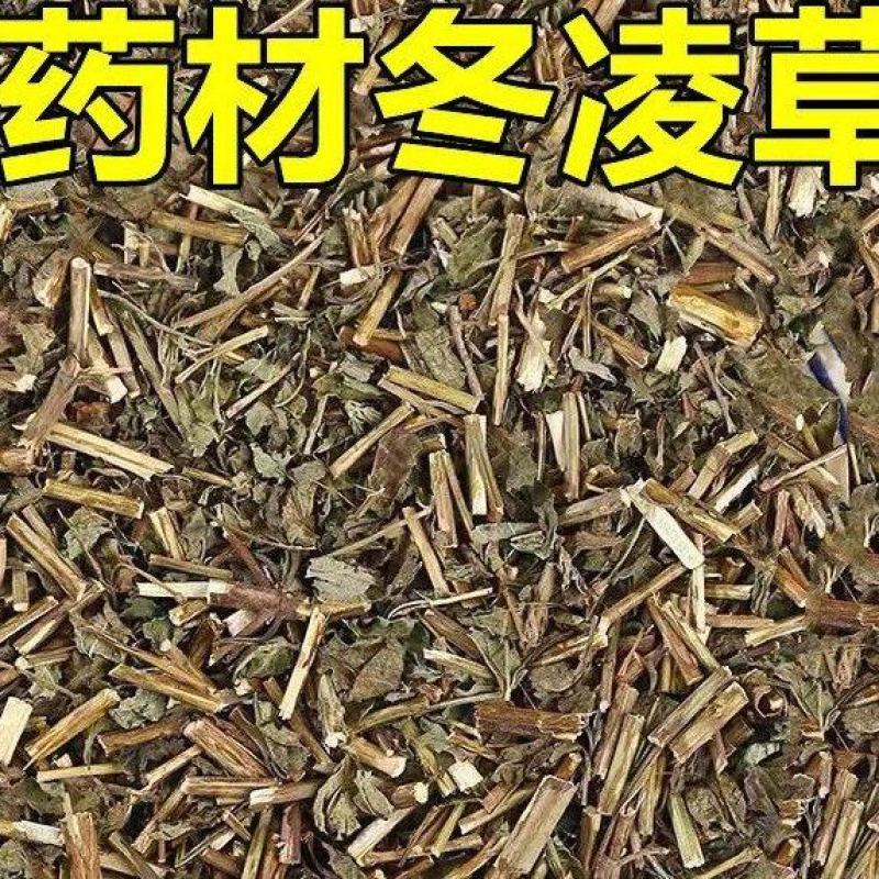 冬凌草中草药袋装当季无硫冬凌草中药材野生无杂质散装干燥颜