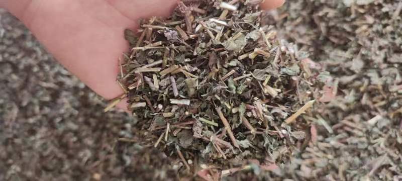 冬凌草中草药袋装当季无硫冬凌草中药材野生无杂质散装干燥颜