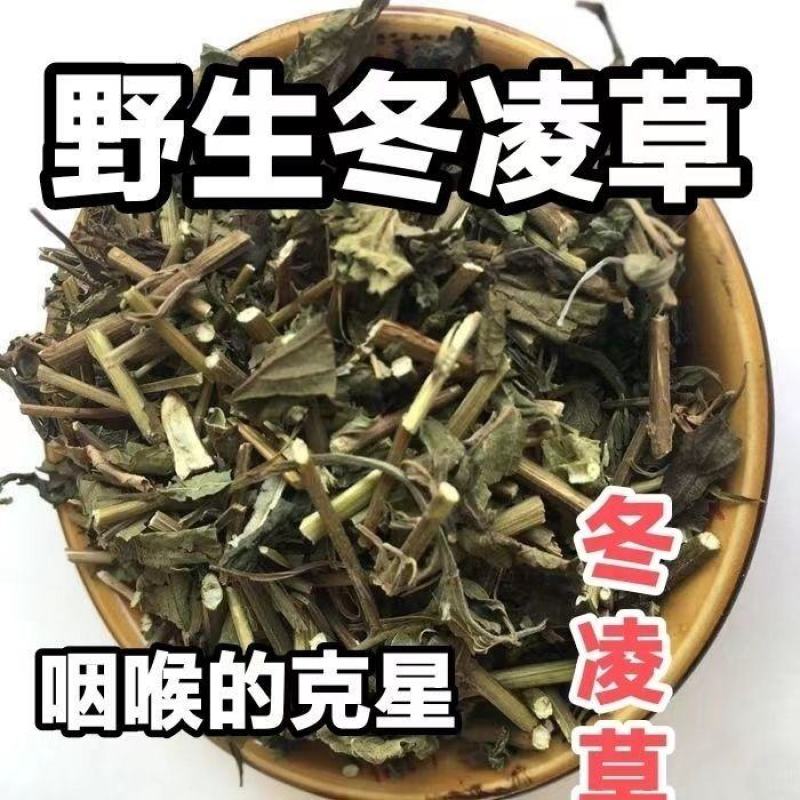 冬凌草中草药袋装当季无硫冬凌草中药材野生无杂质散装干燥颜
