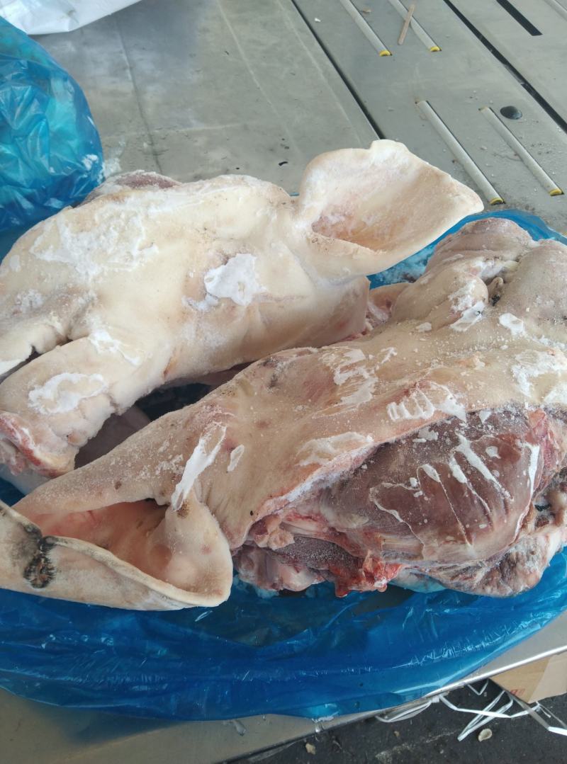 母猪二级，带耳劈半头新货货源稳定质量保证