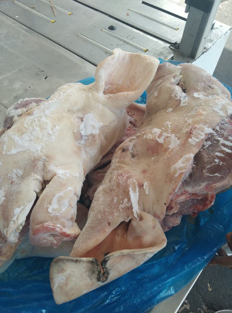 母猪二级，带耳劈半头新货货源稳定质量保证