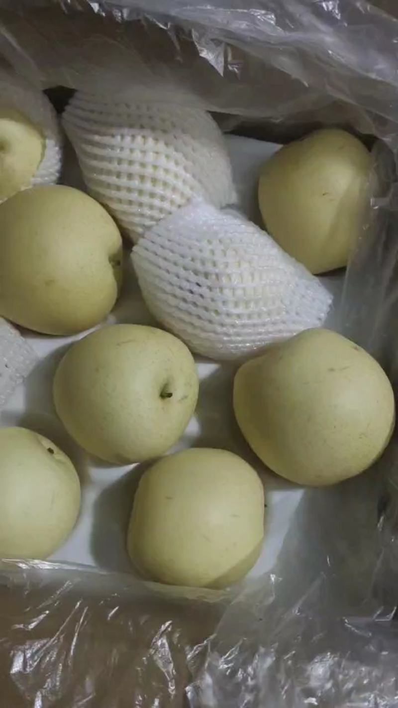 皇冠梨汁多脆甜，产地直供，保质保量