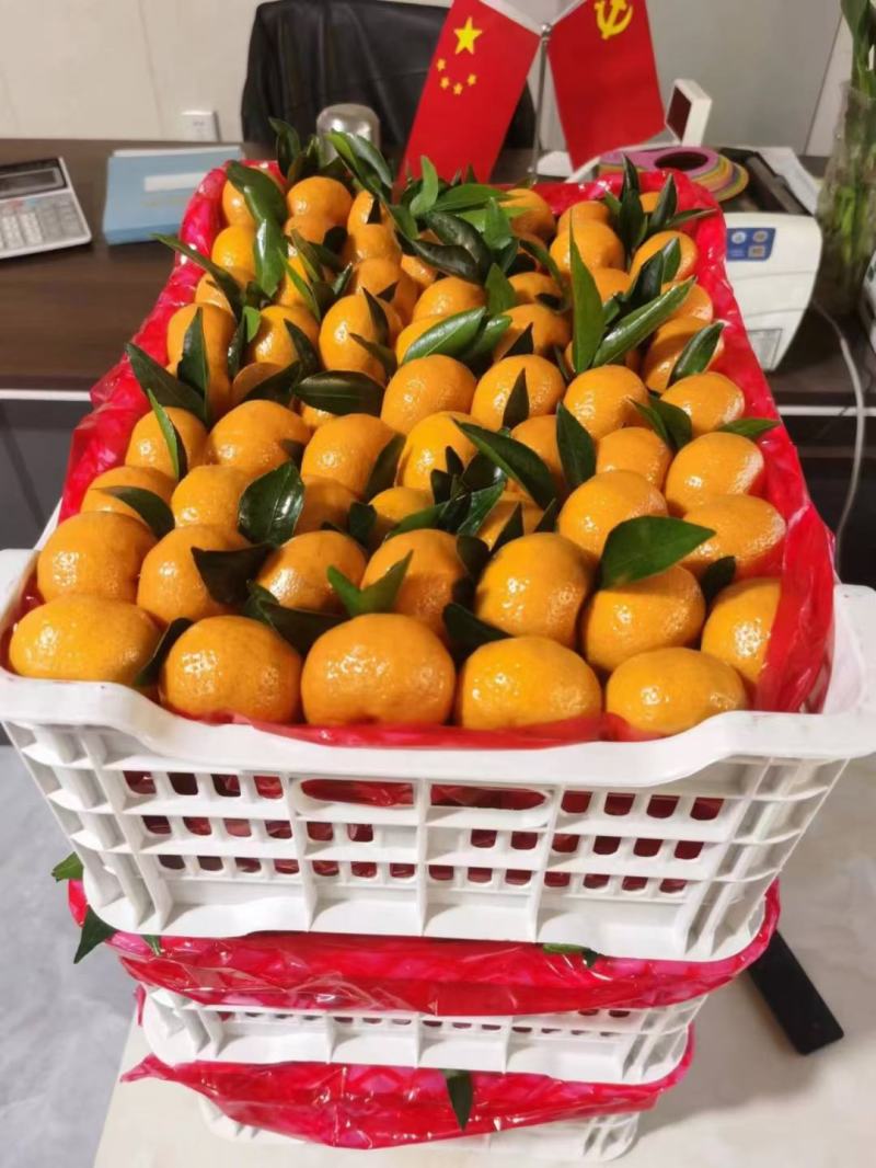 湖北蜜桔，一手货源，对接电商，市场，团购，外贸出口，