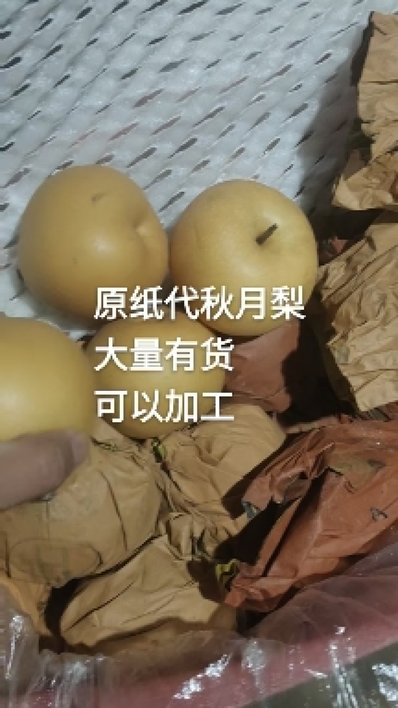 秋月梨皮薄汁多脆甜可口，产地直发，价格实惠，保证货好
