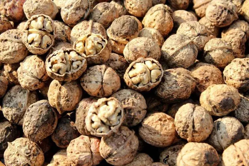 云南精品山核桃大量供应产地直发一手货源价格优惠