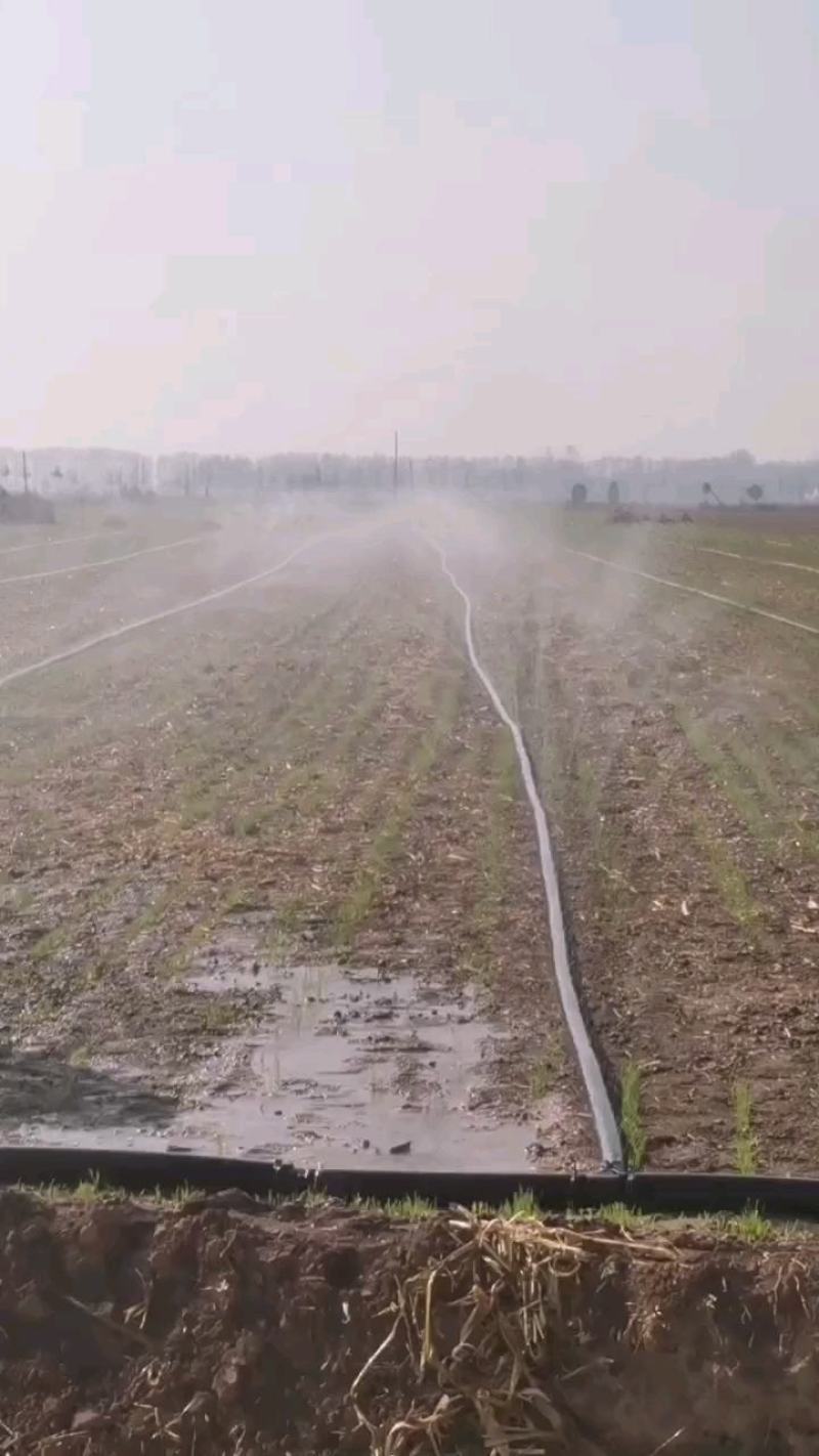 微喷带农用浇灌水带PE软带自动化浇灌水带