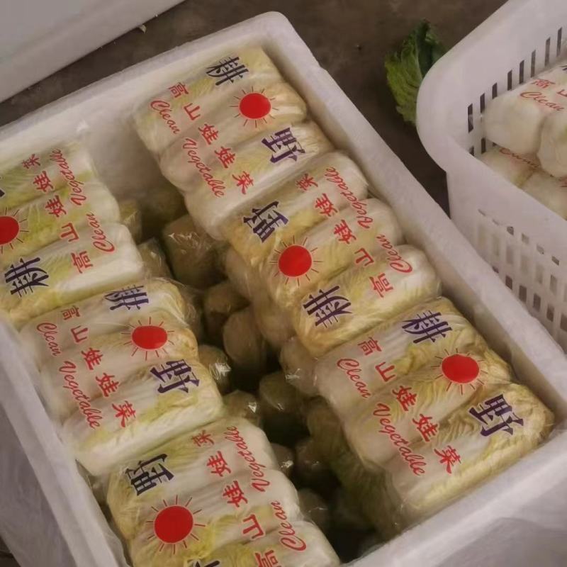 精品包装娃娃菜，各种包装，大量有货，需要的老板可以联系啊