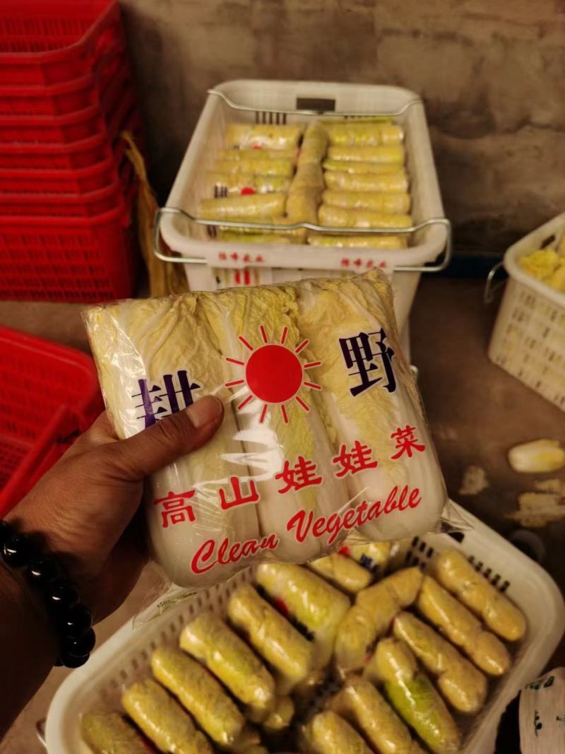 娃娃菜，净菜，毛菜，产地直供，各种包装，大娃，小娃，中娃