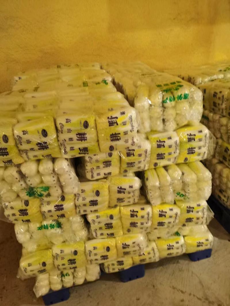 娃娃菜，净菜，毛菜，产地直供，各种包装，大娃，小娃，中娃