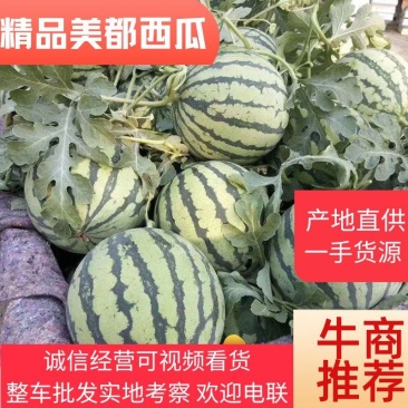 【精选】麒麟西瓜个头均匀皮薄肉厚甜度好基地直发一手货源
