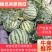 【精选】麒麟西瓜个头均匀皮薄肉厚甜度好基地直发一手货源