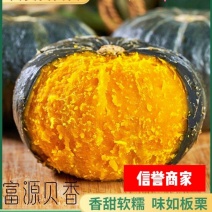 贝贝南瓜，粉糯香甜，直供商超和平台，全国发货