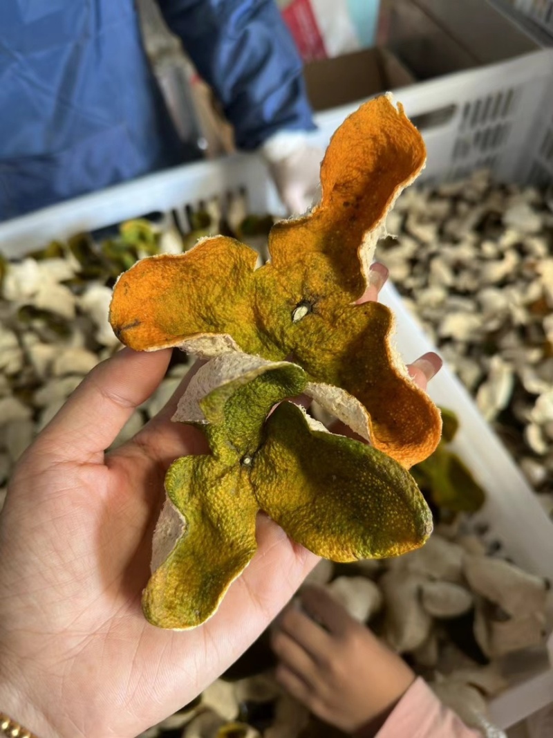 二红皮2025新会大红陈皮大量批发茶枝柑陈皮批发