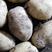 自己种的土豆，品种有裕丰六和v7.还有杠三七，吉林省扶余