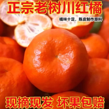 红桔万州古红桔，一手货源，基地直供，大量上市！欢迎来电