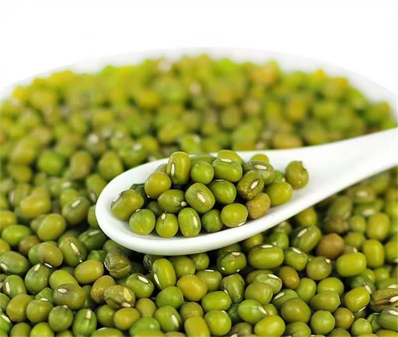 绿豆精品绿豆货源充足量大从优欢迎来电咨询可视频