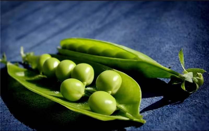 绿豌豆精品豌豆可视频货源充足量大从优欢迎老板选购