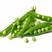 绿豌豆精品豌豆可视频货源充足量大从优欢迎老板选购