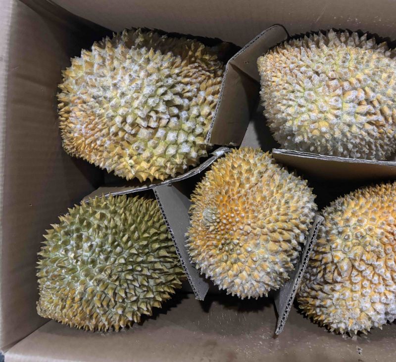树熟金枕，精品榴莲液氮金枕，量大价格从优
