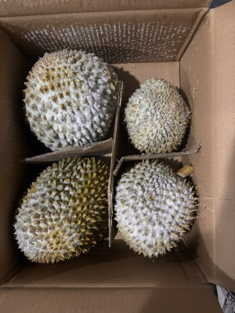 树熟金枕，精品榴莲液氮金枕，量大价格从优