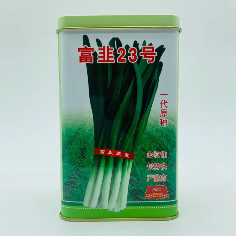 富韭23号韭菜种子不休眠品种，叶色浓绿品种种子
