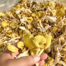 【包邮】鸡油菌干货无硫诚信经营品质保证量大从优欢迎下单