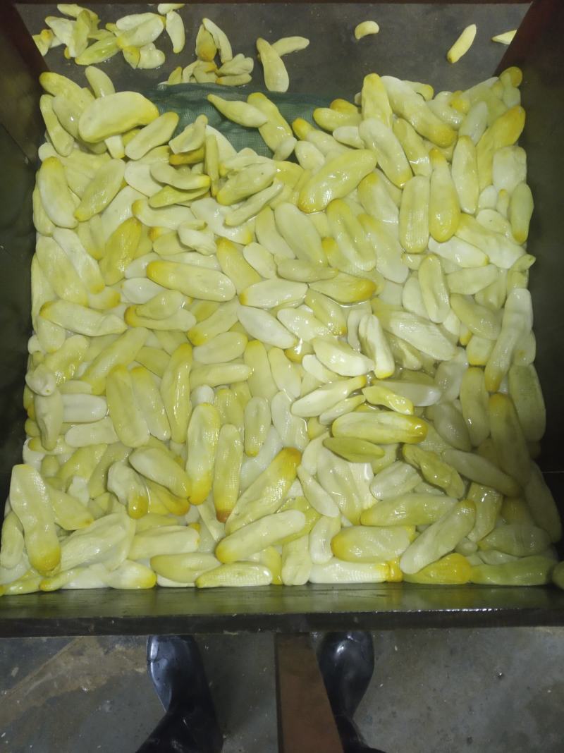 传统制作瓜皮，钦州瓜皮，脱水黄瓜皮《黄瓜皮》