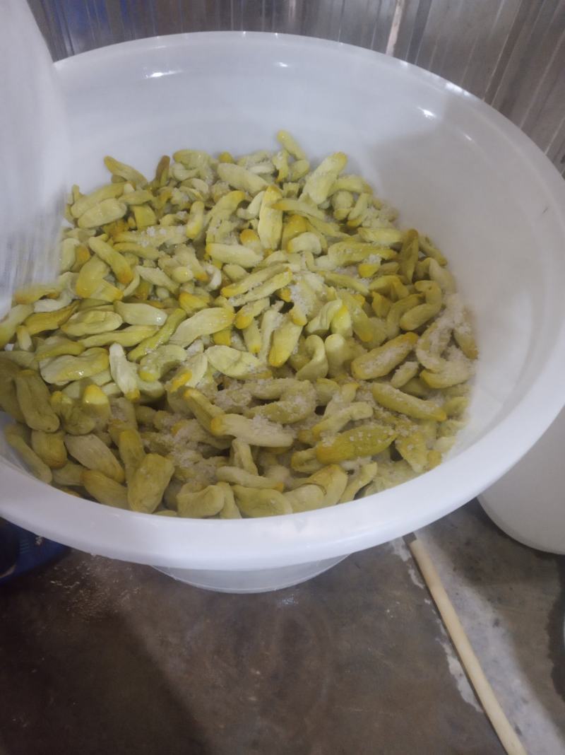传统制作瓜皮，钦州瓜皮，脱水黄瓜皮《黄瓜皮》
