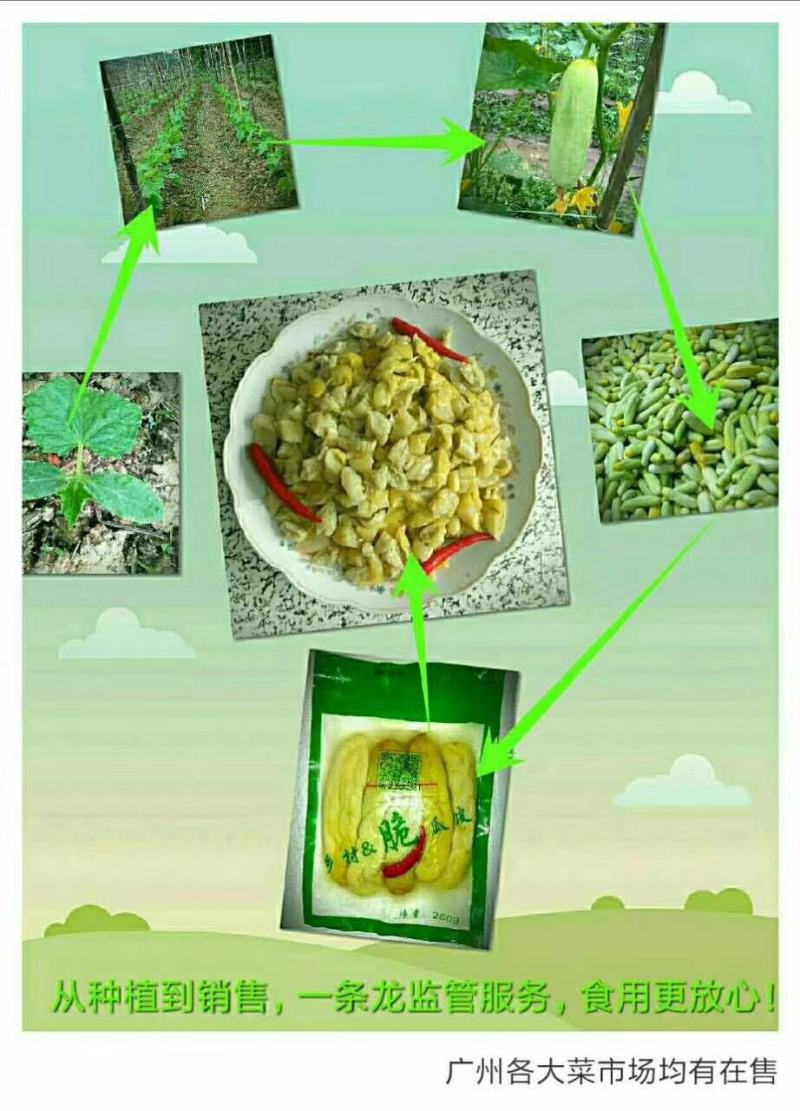 传统制作瓜皮，钦州瓜皮，脱水黄瓜皮《黄瓜皮》