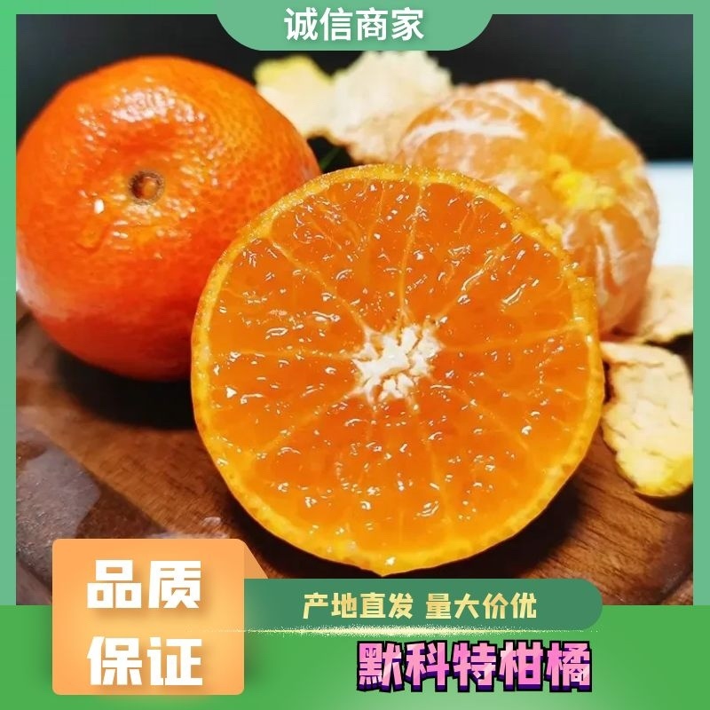 【预售】重庆默科特玫瑰桔🍊，火红的果皮，果肉细腻，价格从优~