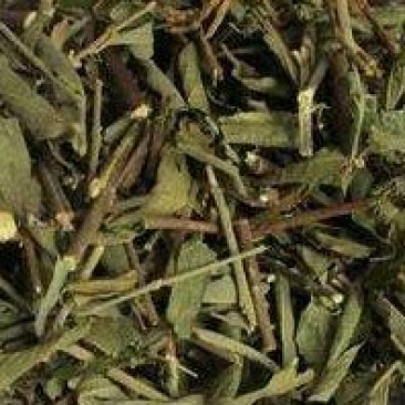 农吉利响铃草马铃草野花生