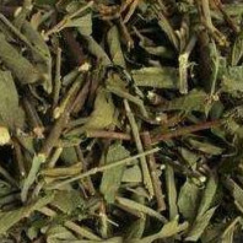 农吉利响铃草马铃草野花生