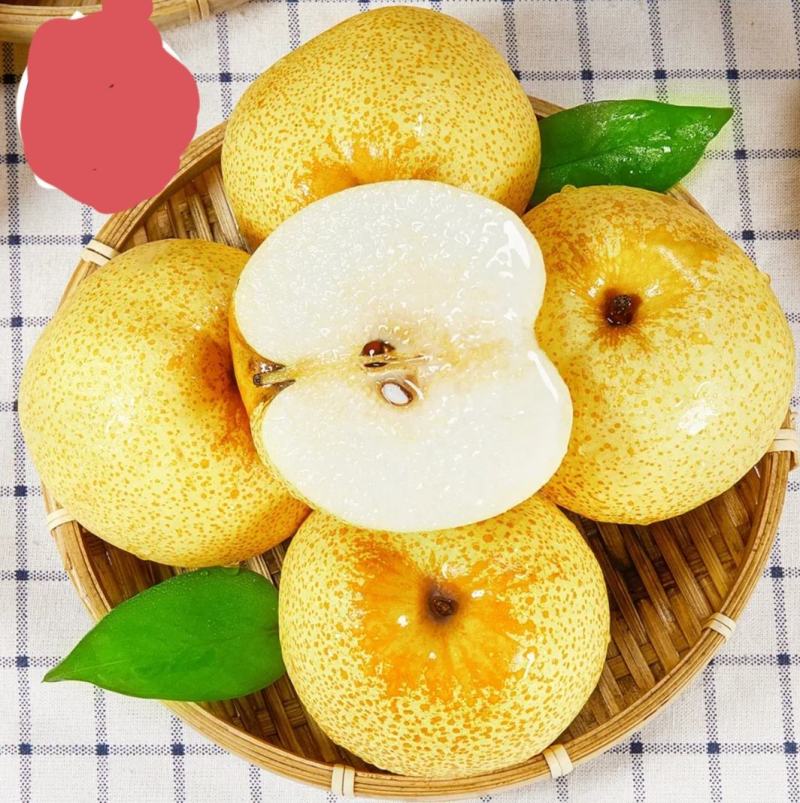 精品金顶谢花酥梨，有十万斤现货