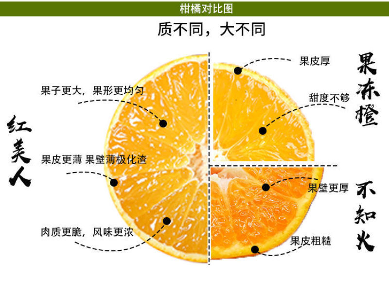 正宗象山红美人柑橘桔子爱媛28号水果新鲜5斤当季产地直发