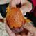 【高山红薯】西瓜红蜜薯大量上市产地直发量大从优欢迎订购