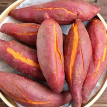 【精品】贵州高山红薯西瓜红蜜薯大量供应香甜可口保质保量