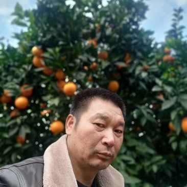 现在奉节脐橙大量上市了，马上要开园了，如果有喜欢的